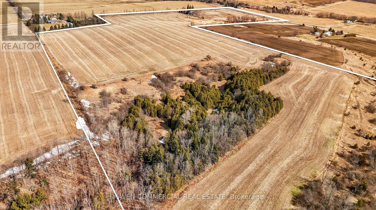7369 5th Side Road, Adjala-Tosorontio, Ontario  L9R 1V3 - Photo 9 - N12070247