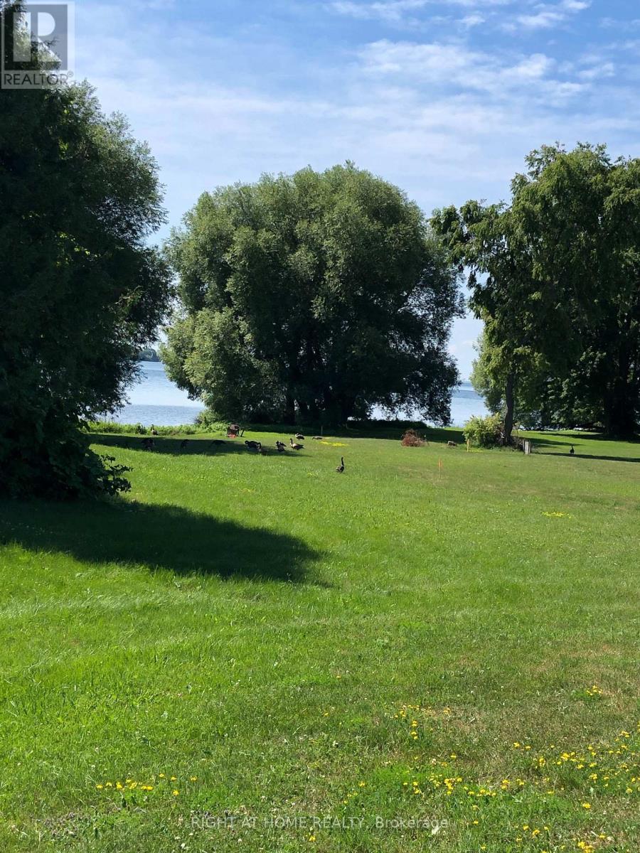 3786 Tuppy Drive, Ramara, Ontario  L0K 1B0 - Photo 4 - S12271449