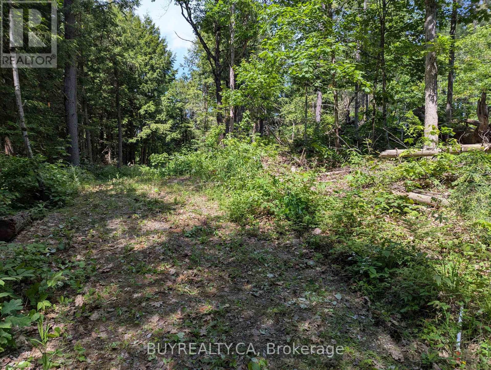 2318 Sherwood Forest Lane, Severn, Ontario  L0K 1E0 - Photo 3 - S12427693